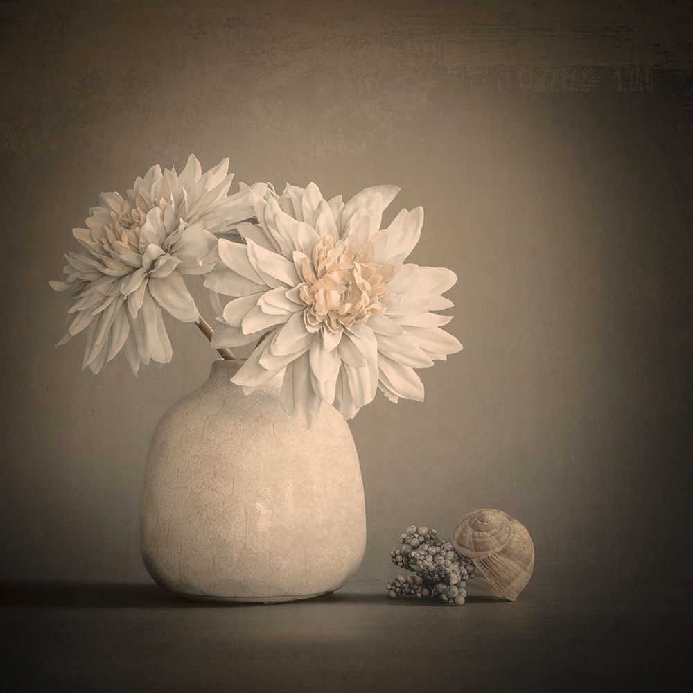 White And Fine art print by Cicek Kiral for $57.95 CAD
