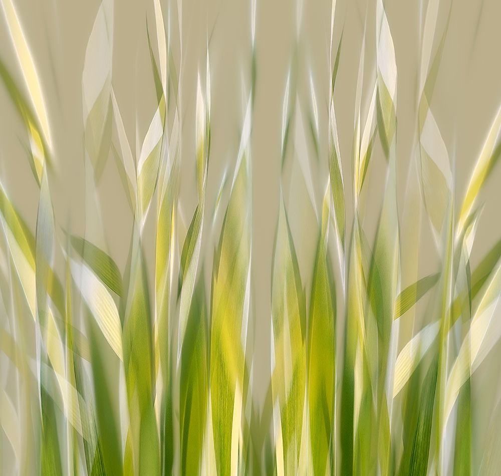 Dancing reed art print by Nel Talen for $57.95 CAD