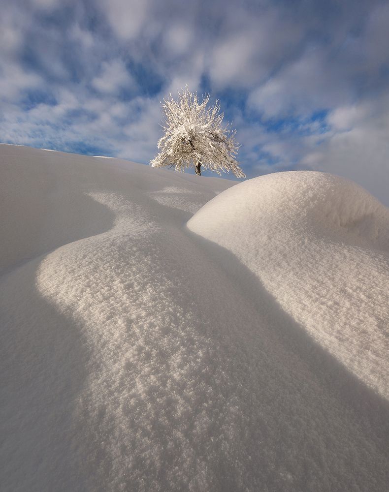 Curves Of A Winter Landscape art print by Ales Krivec for $57.95 CAD