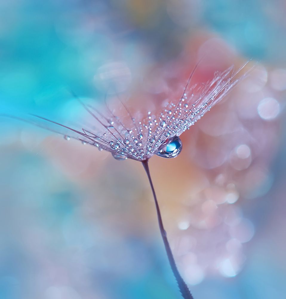 Blue Rain.. art print by Juliana Nan for $57.95 CAD