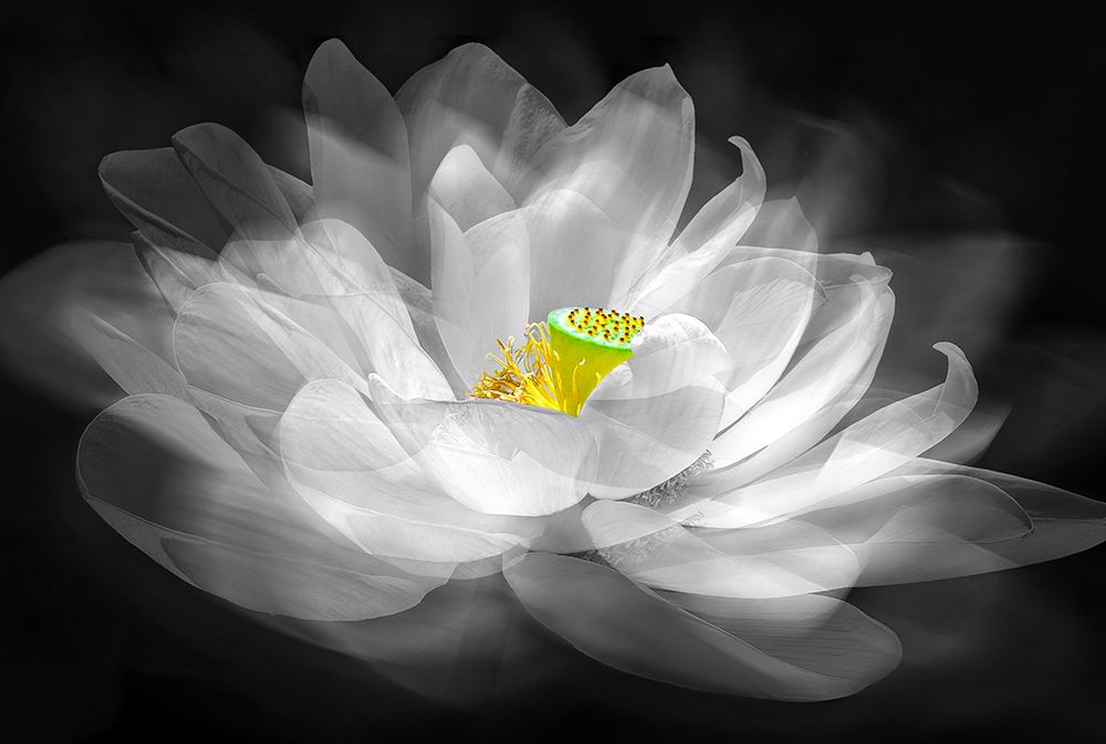 Illusion art print by Kenneth Zeng for $57.95 CAD