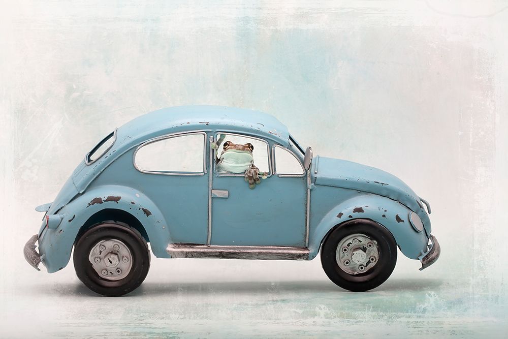 Amazon Milk Frog In Vw Bug art print by Linda D Lester for $57.95 CAD