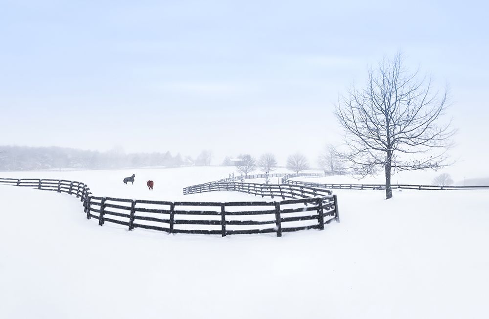 Winter Farm art print by Larry Deng for $57.95 CAD