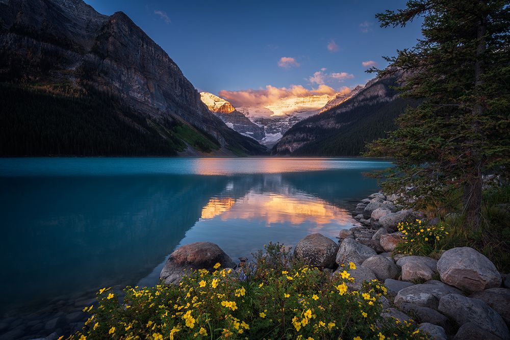 Golden Throne Of Lake Louise art print by Yongnan Li for $57.95 CAD