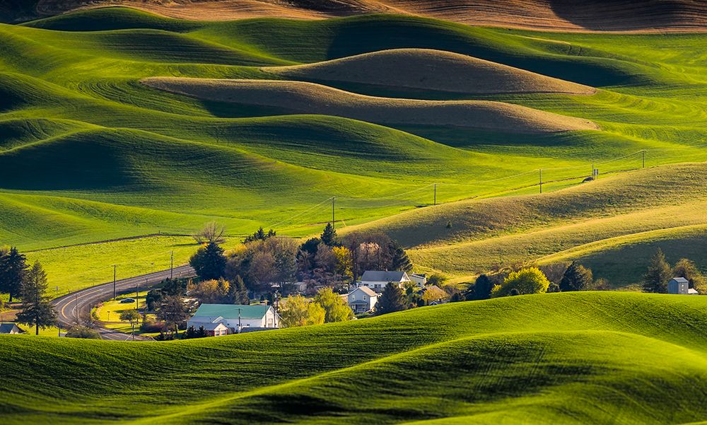 Houses In The Farm Land art print by Eileen Tan for $57.95 CAD