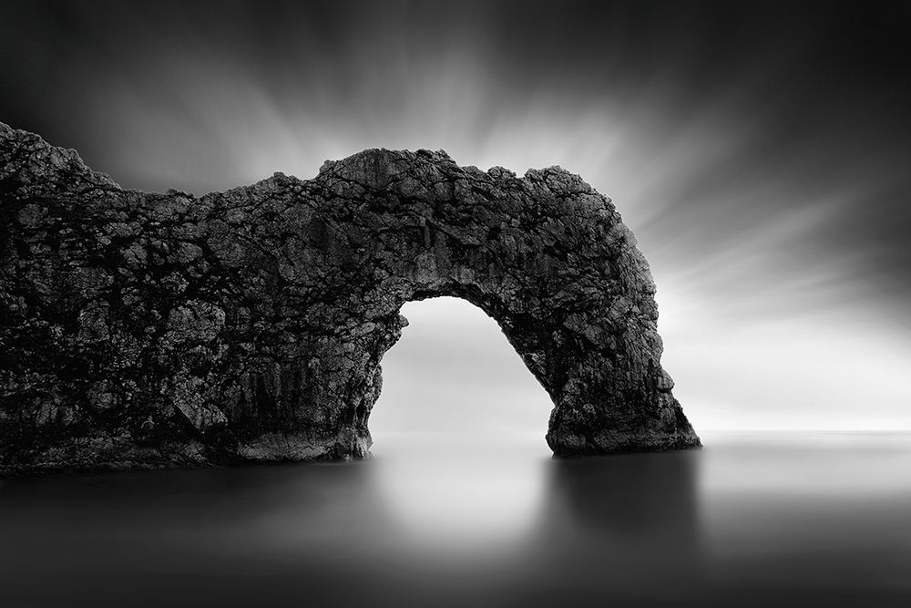 Dinosaur On The Beach Ii art print by George Digalakis for $57.95 CAD