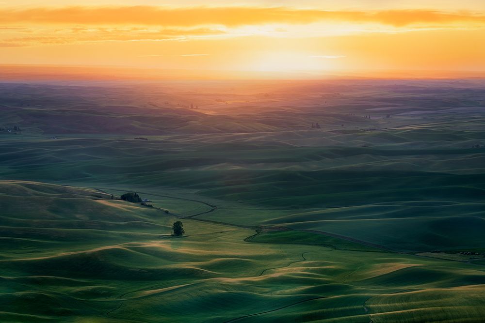 Sunset Over Colfax art print by Hanping Xiao for $57.95 CAD
