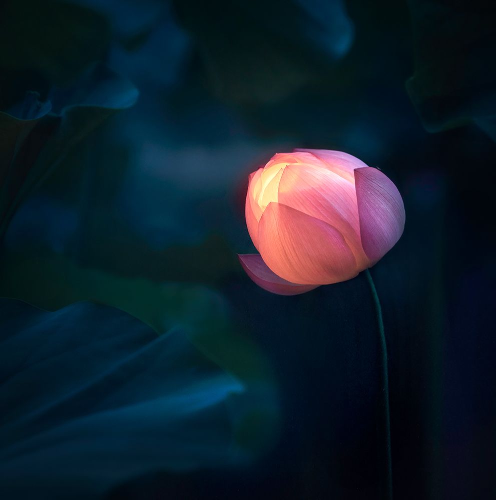 Glow In Dark art print by Catherine W. for $57.95 CAD