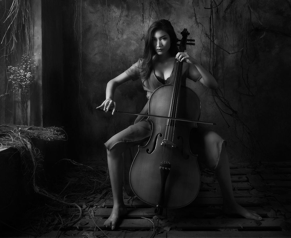 The Cellist art print by Sebastian Kisworo for $57.95 CAD
