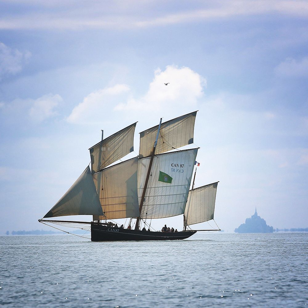 Boat-Bird And Mount art print by Vincent Demoulin for $57.95 CAD