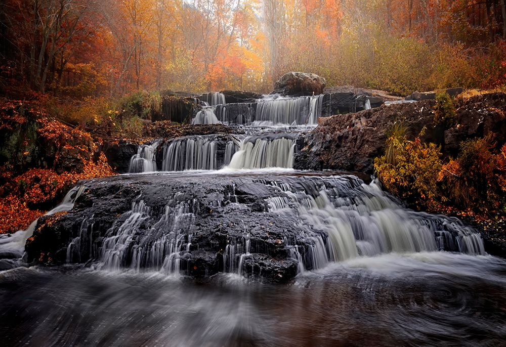 Fall of Fall art print by Shi aamp Wei for $57.95 CAD