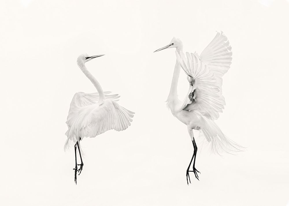 You And Me art print by Qing Zhao for $57.95 CAD
