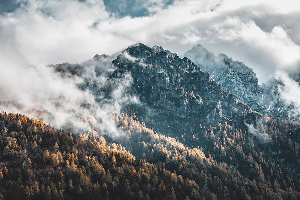 Fog In The Mountains art print by Jakob Remar for $57.95 CAD