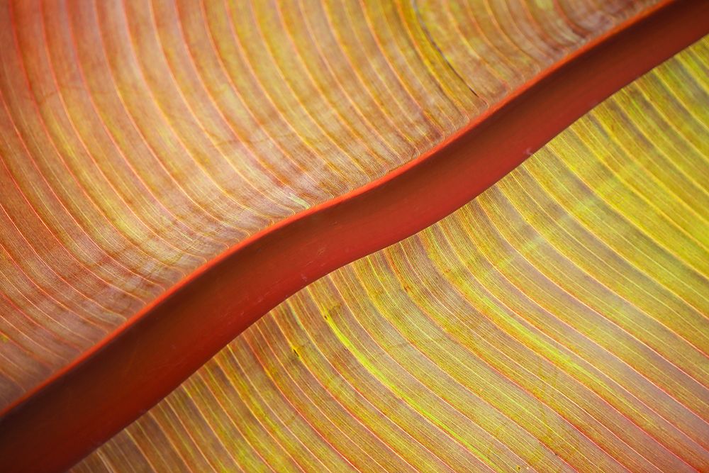 A red river runs through it art print by Robin Wechsler for $57.95 CAD