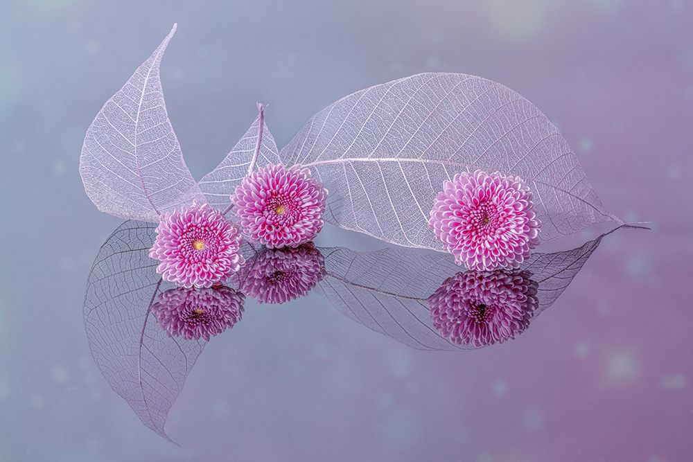 flowers and leaves art print by jenny j rao for $57.95 CAD
