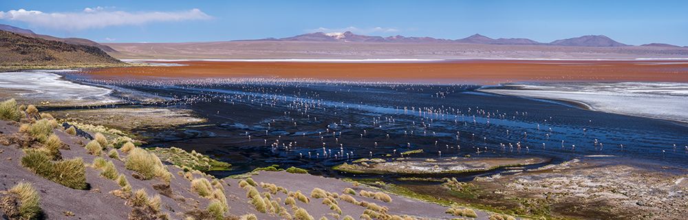 Laguna colorada art print by Karsten Wrobel for $57.95 CAD