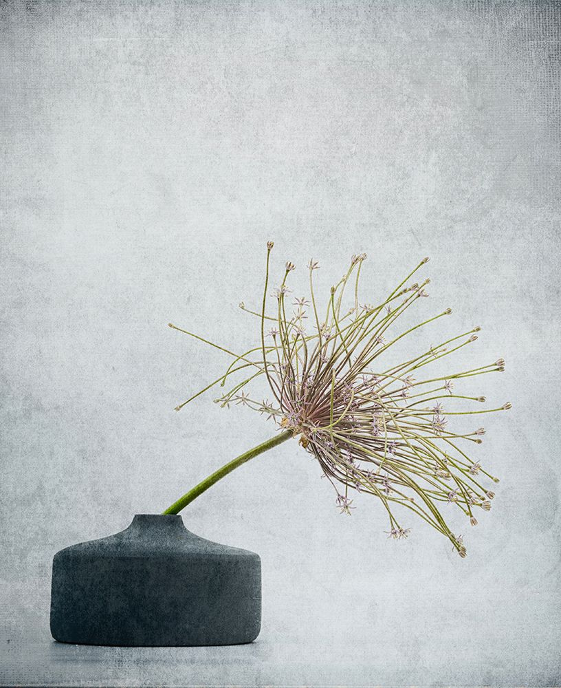 Simple Comme Bonjour . art print by Saskia Dingemans for $57.95 CAD