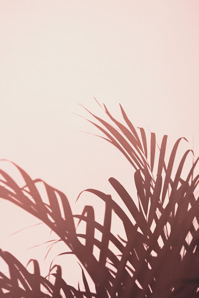 Palm leaves_2 art print by 1x Studio III for $57.95 CAD