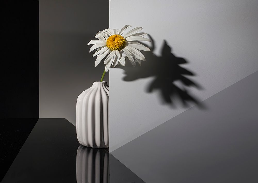 qBeautiful and lonelyq art print by Evgeniy Popov for $57.95 CAD