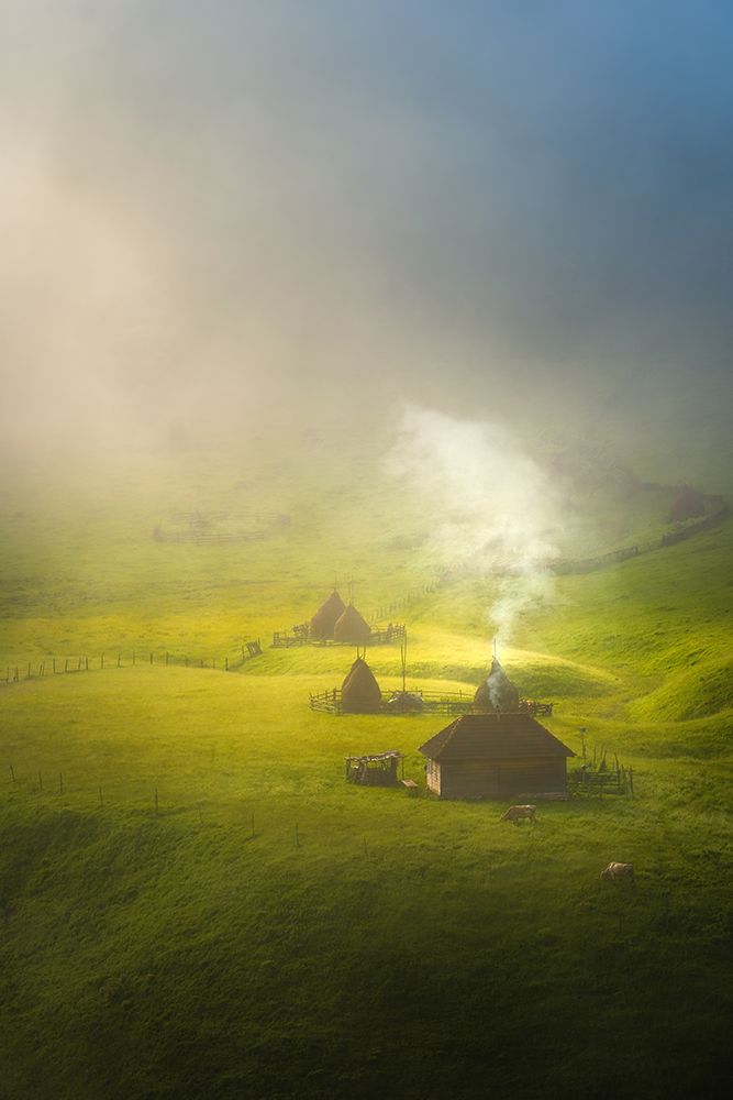 Morning Silence art print by Anghel Rusu for $57.95 CAD