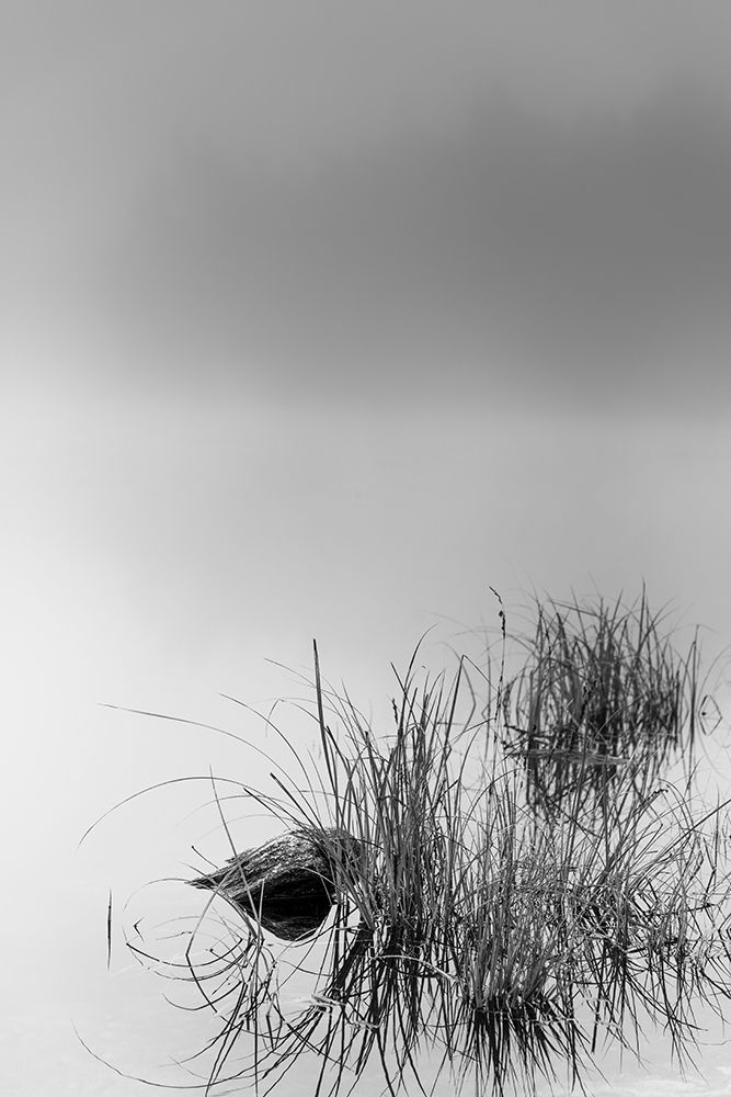 Stripped art print by Benny Pettersson for $57.95 CAD