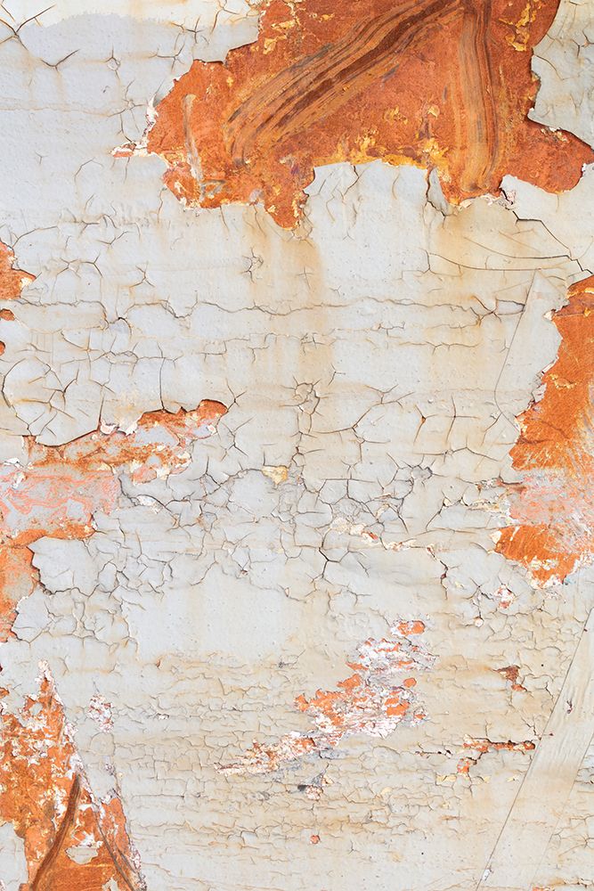 wall art print by 1x Studio III for $57.95 CAD