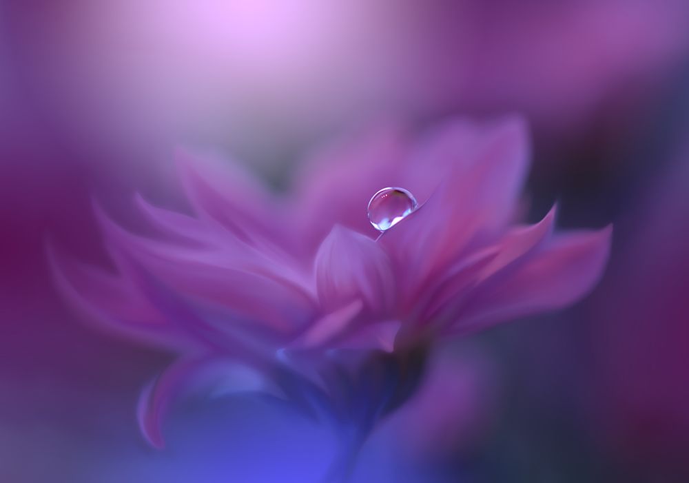Without Form, Without Limit.. art print by Juliana Nan for $57.95 CAD