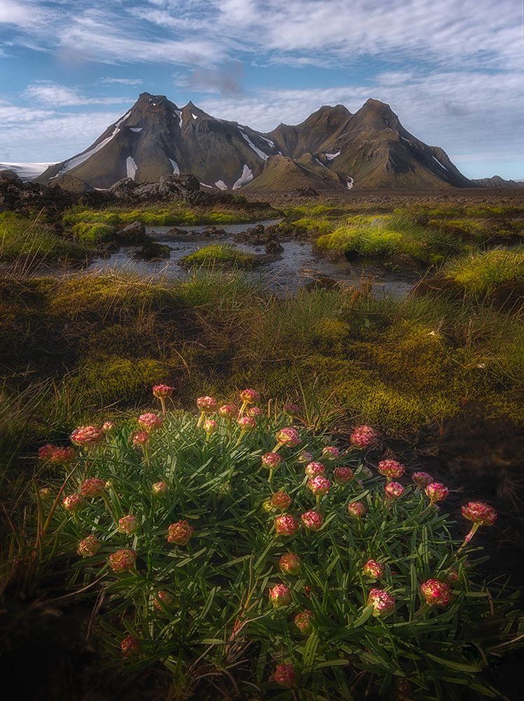 The Highlands of Iceland art print by YY DB for $57.95 CAD