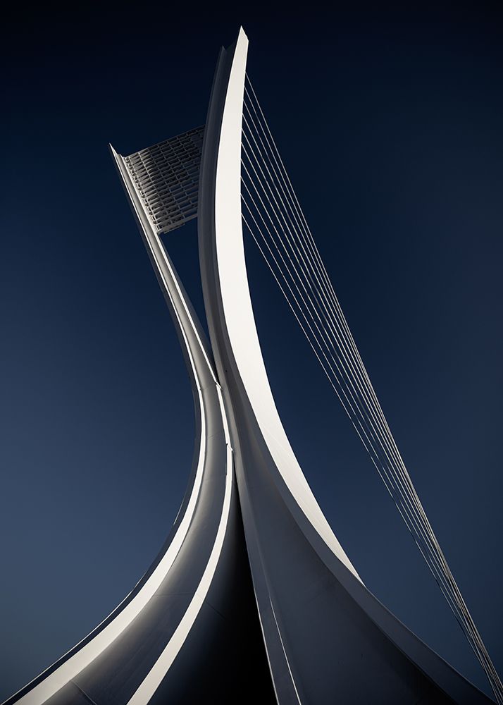 Shapes art print by Marco Tagliarino for $57.95 CAD