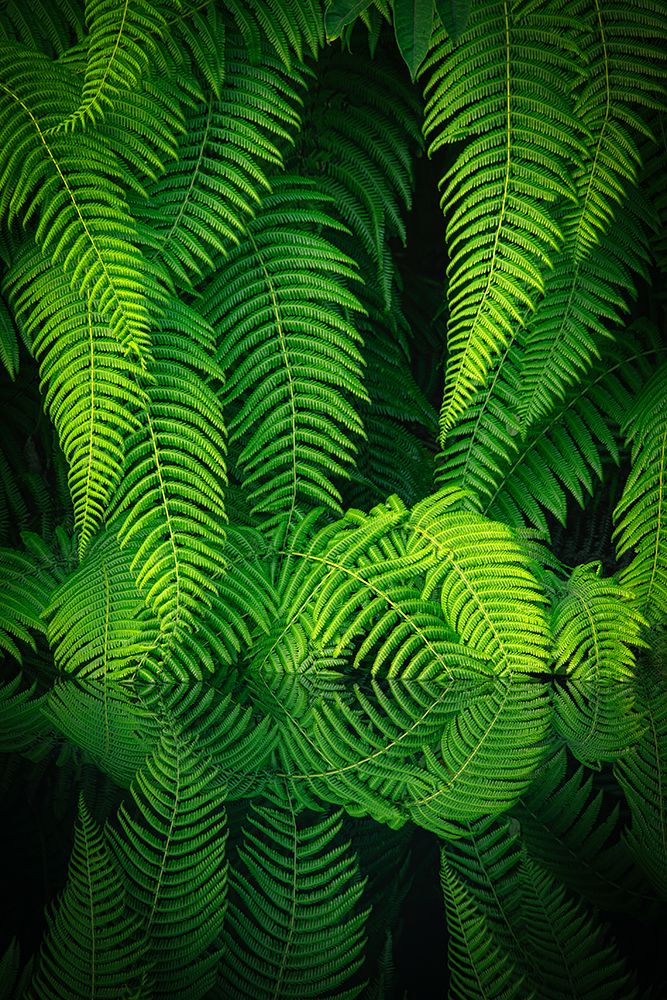 Beauty In Nature art print by Takeshi Mitamura for $57.95 CAD