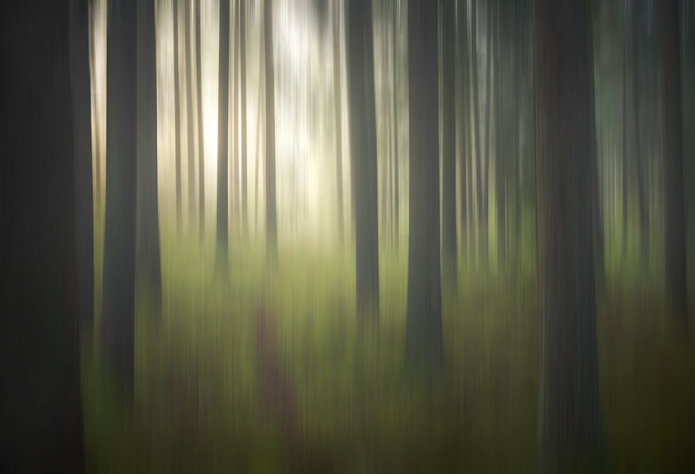 Explore art print by Christian Lindsten for $57.95 CAD