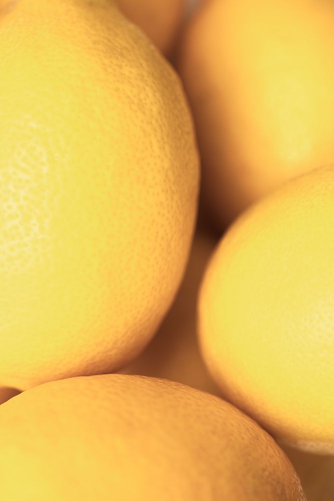 Lemons_2 art print by 1x Studio III for $57.95 CAD