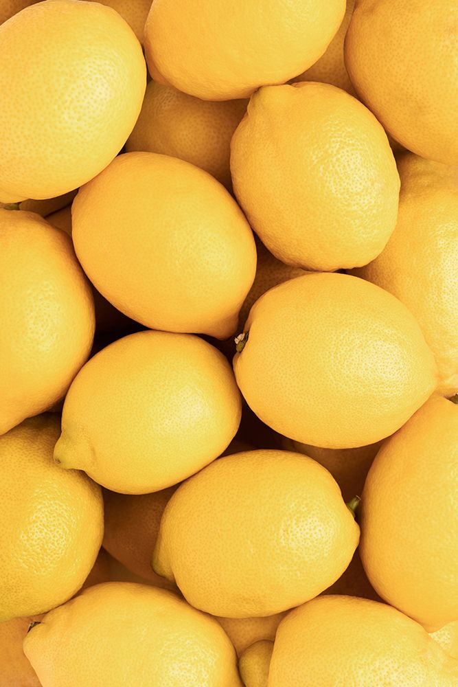Lemons_3 art print by 1x Studio III for $57.95 CAD