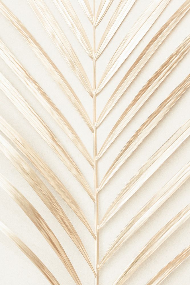 Golden Palm Leaf art print by 1x Studio III for $57.95 CAD