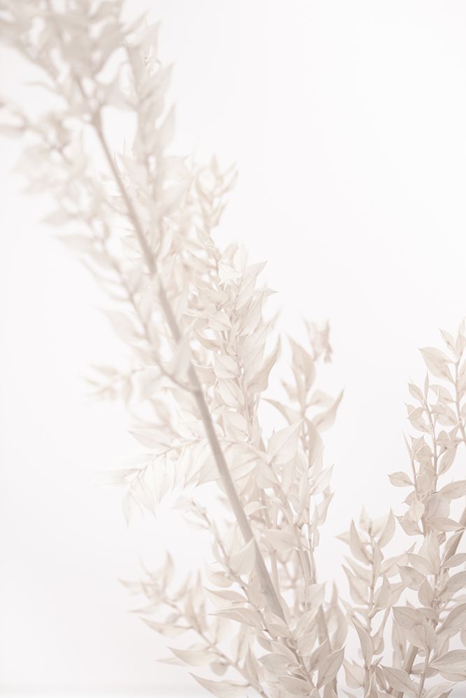 Dried Straws art print by 1x Studio III for $57.95 CAD