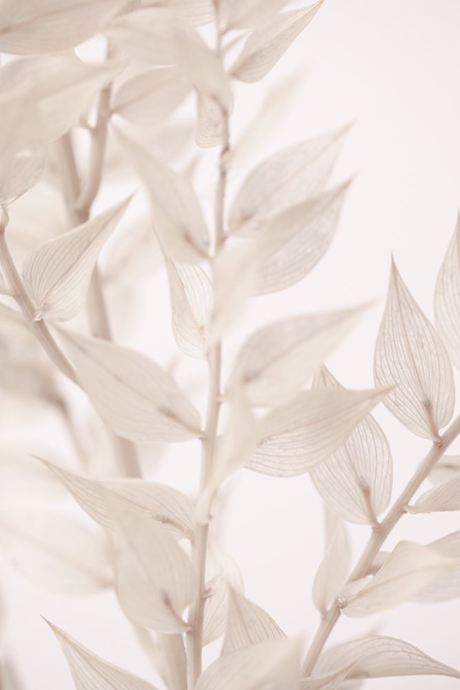 Dried Straws_3 art print by 1x Studio III for $57.95 CAD