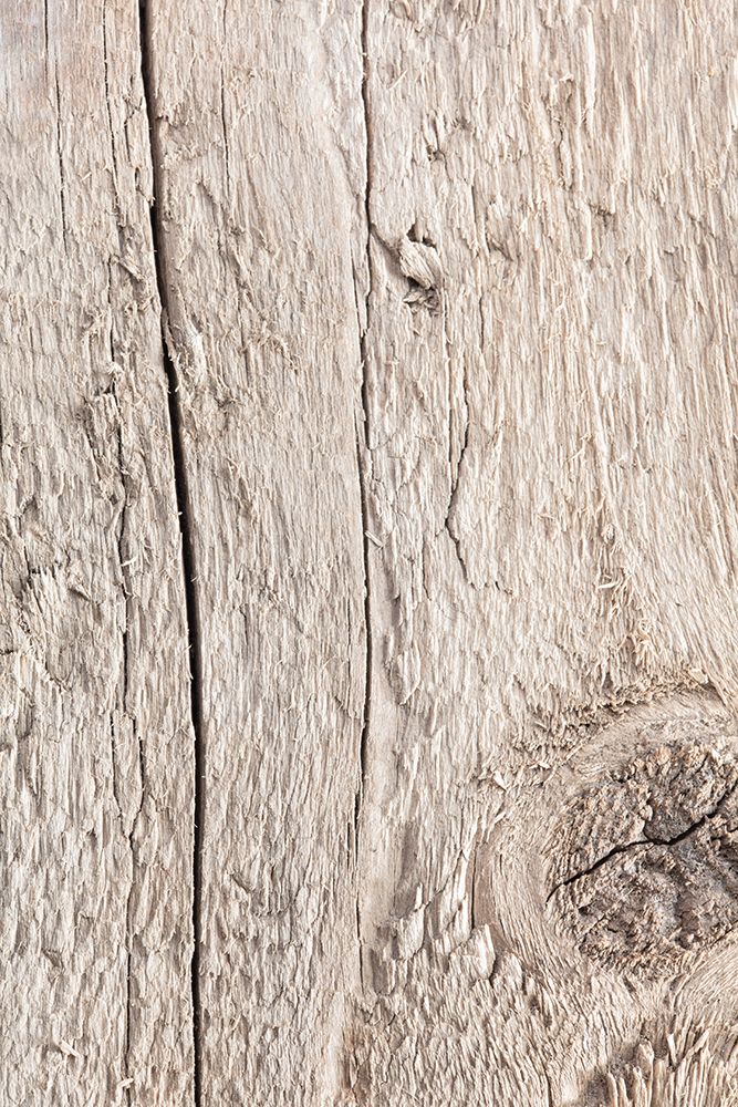 Wood art print by 1x Studio III for $57.95 CAD
