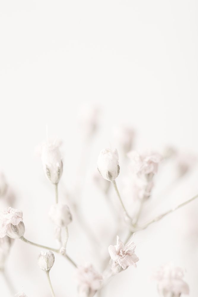 Pink Small Flowers art print by 1x Studio III for $57.95 CAD