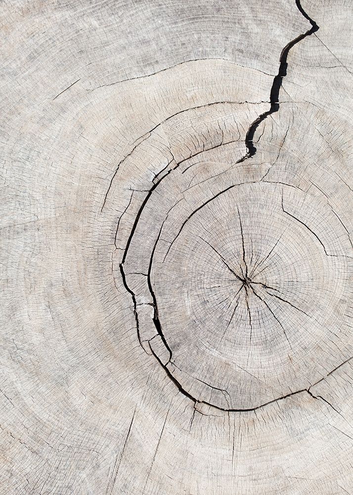 Pattern_Wood_2 art print by 1x Studio III for $57.95 CAD