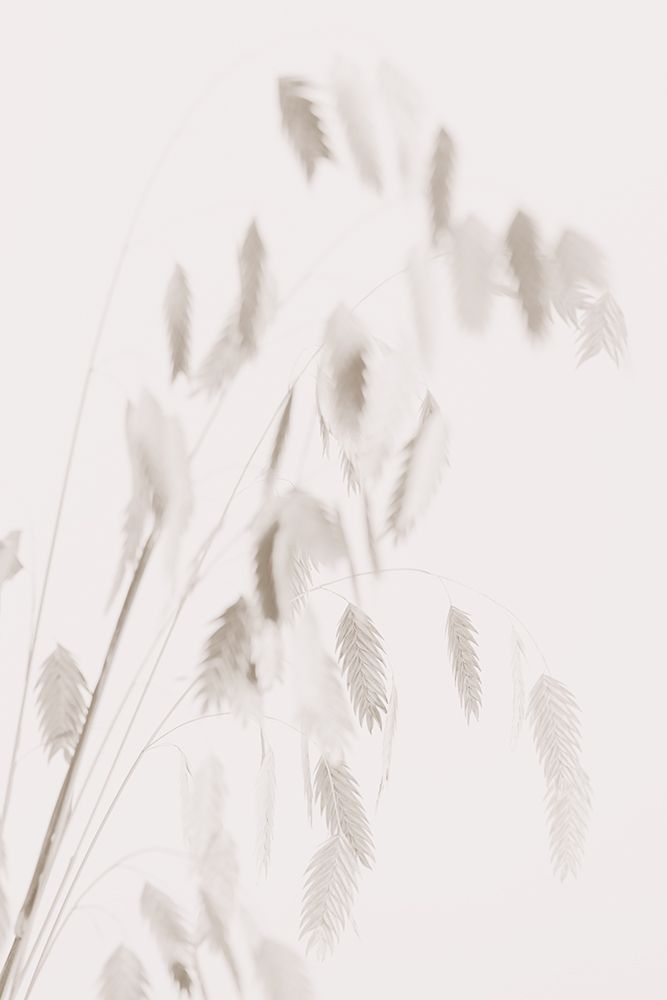 Dried Grass_pink art print by 1x Studio III for $57.95 CAD