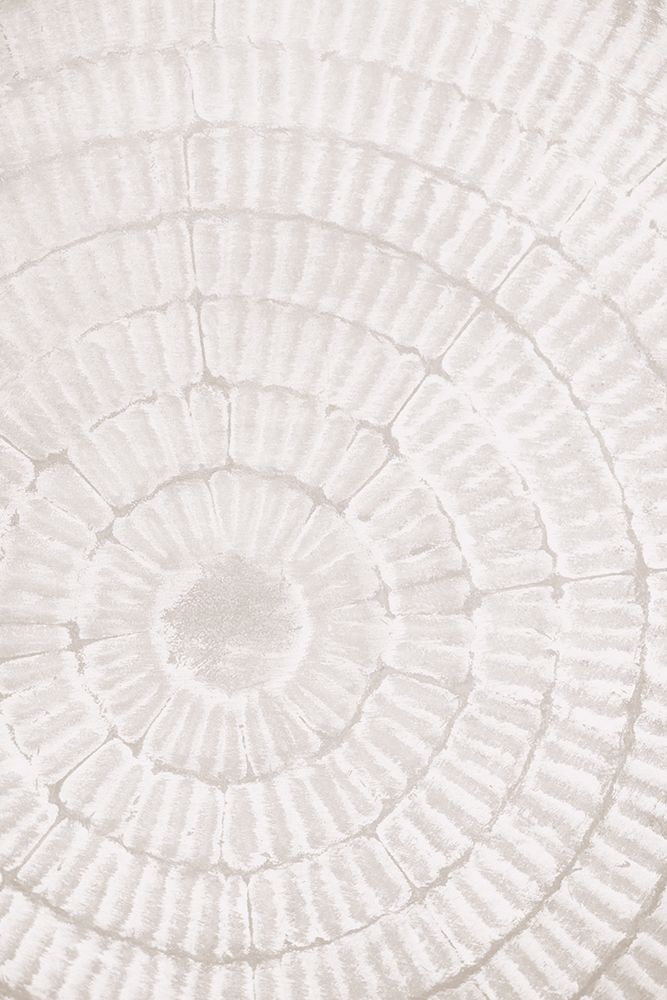 Pattern_plate_1 art print by 1x Studio III for $57.95 CAD