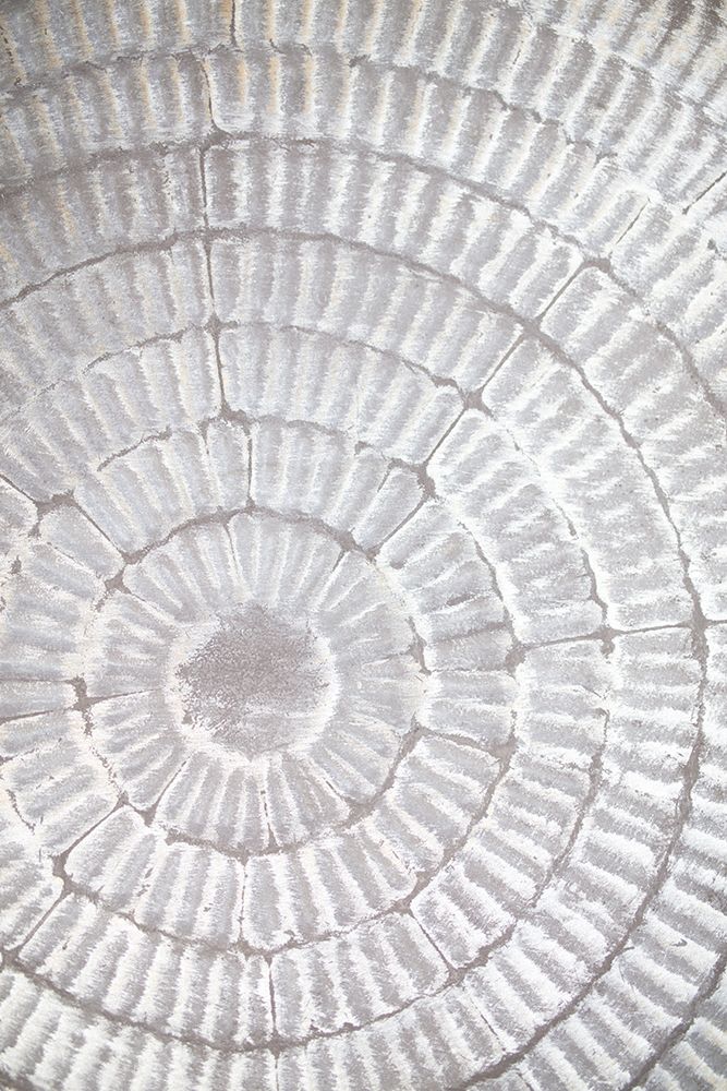 Patternplate_Grey_1 art print by 1x Studio III for $57.95 CAD
