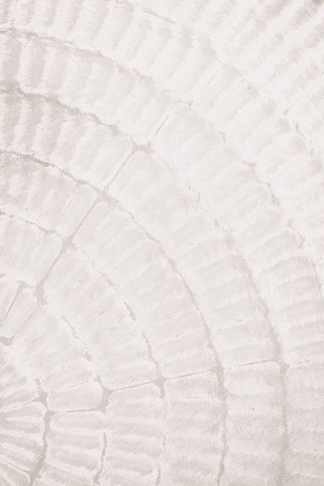 Pattern plate_beige_2 art print by 1x Studio III for $57.95 CAD