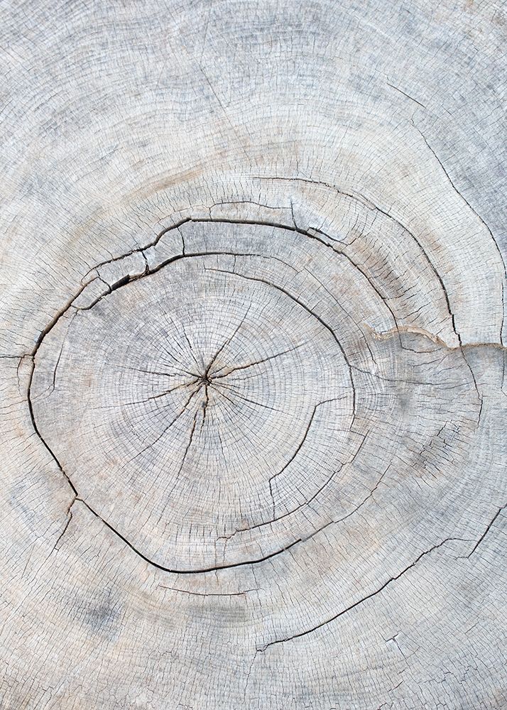 Pattern_wood_2 art print by 1x Studio III for $57.95 CAD
