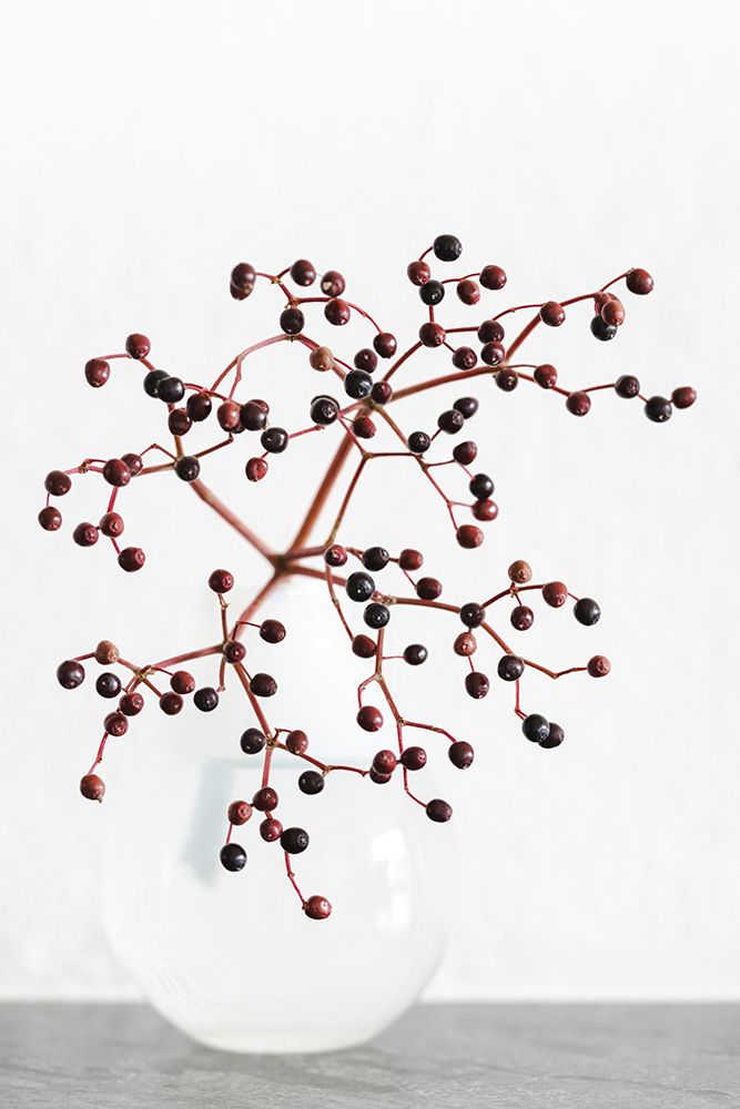 Vase_berries art print by 1x Studio III for $57.95 CAD