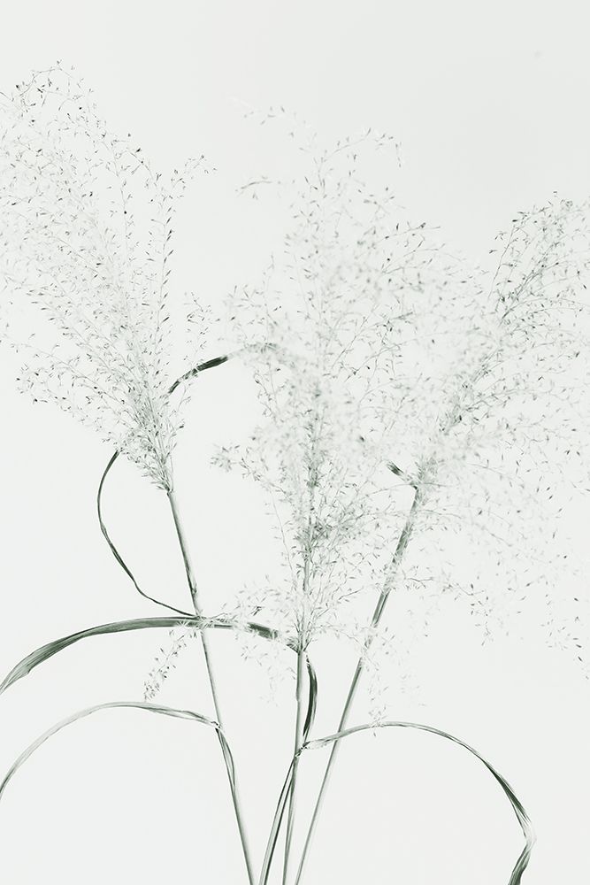 Dried Grass_green art print by 1x Studio III for $57.95 CAD