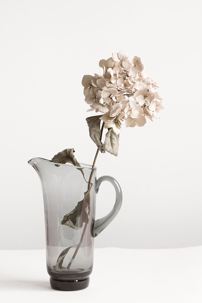 Dried flower in Jug_beige art print by 1x Studio III for $57.95 CAD