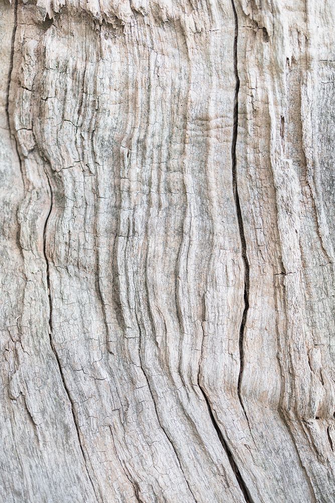 Wood Pattern art print by 1x Studio III for $57.95 CAD