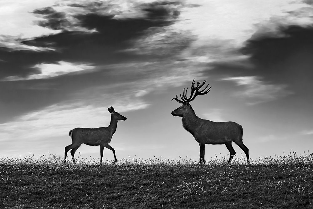 Meeting art print by Jure Kravanja for $57.95 CAD