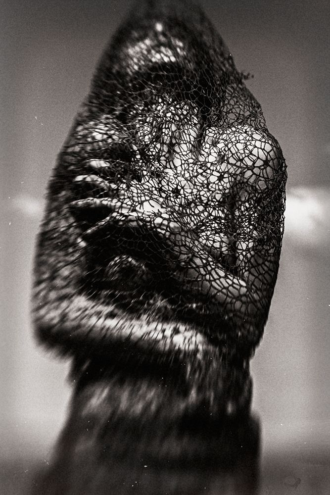 Cocoon art print by Bogdan Bousca for $57.95 CAD